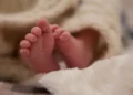 ഹരിപ്പാട് താലൂക്ക് ആശുപത്രിയിൽ പ്രസവിച്ച ഉടൻ നവജാതശിശുവിനെ ജനലിലൂടെ പുറത്തേക്ക് വലിച്ചെറിഞ്ഞു; 19-കാരി പിടിക്കപ്പെട്ടു